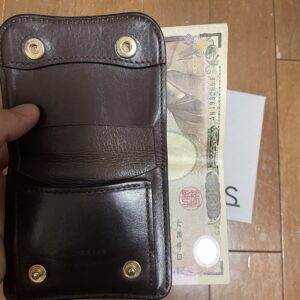 【エイジングレポート】ワイルドスワンズ パームの1年後の姿