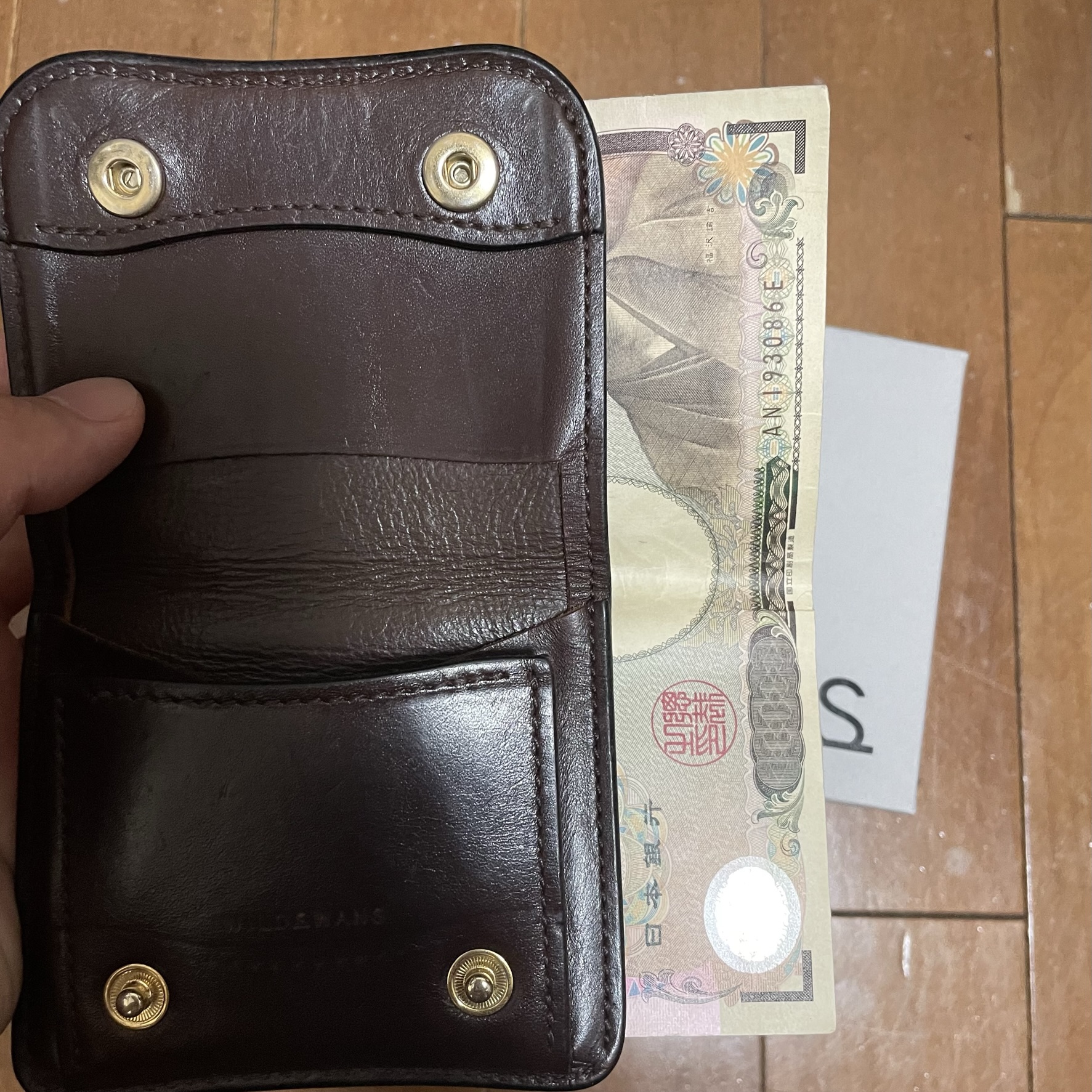 【エイジングレポート】ワイルドスワンズ パームの1年後の姿