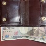 【比較】ワイルドスワンズのPALMv2はどれくらい変わったのか