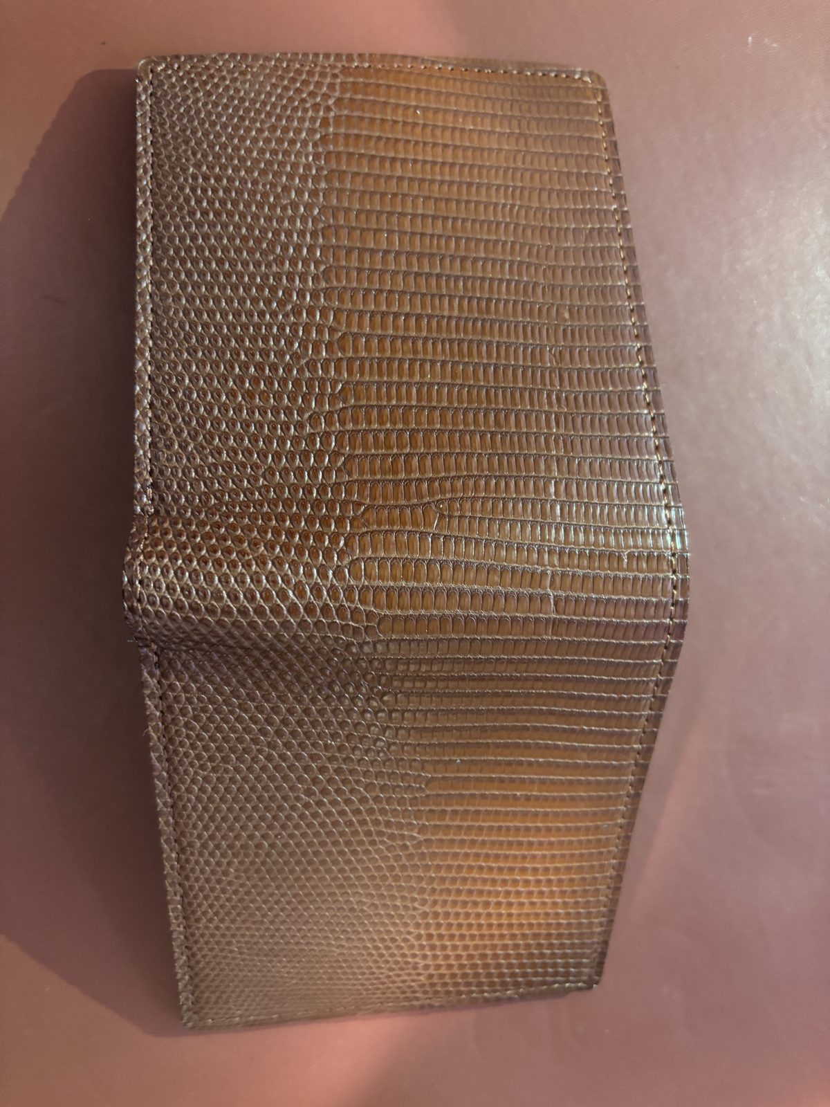 LIZARD6の外装を斜めから見た鱗の並び