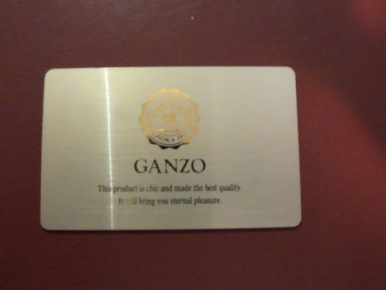 GANZOの説明カード
