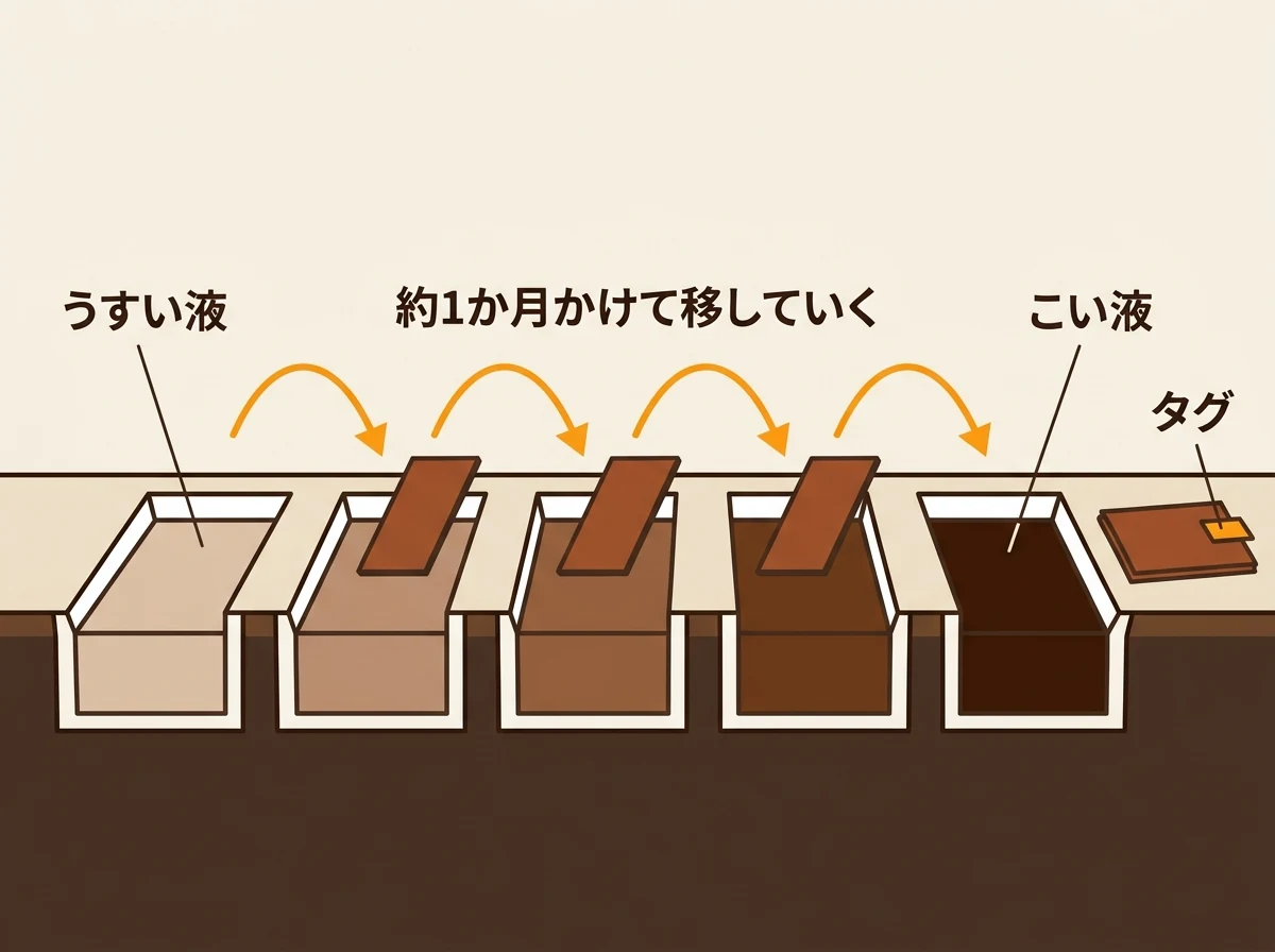 栃木レザーのピット鞣しの工程図。薄い液から濃い液へ約1か月かけて槽を移していく流れ